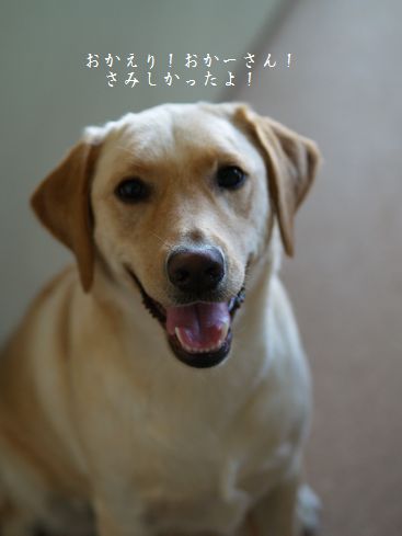 母ちゃんちの晩御飯とどたばた日記-笑顔1