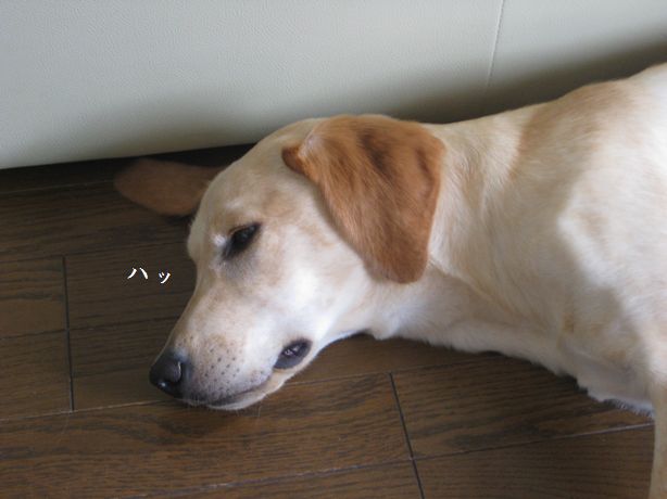 あ、起きたか？