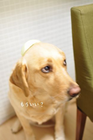 井上かなえオフィシャルブログ　「母ちゃんちの晩御飯とどたばた日記」Powered by Ameba