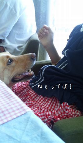 井上かなえオフィシャルブログ 「母ちゃんちの晩御飯とどたばた日記」Powered by Ameba