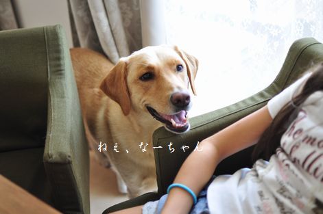 井上かなえオフィシャルブログ 「母ちゃんちの晩御飯とどたばた日記」Powered by Ameba