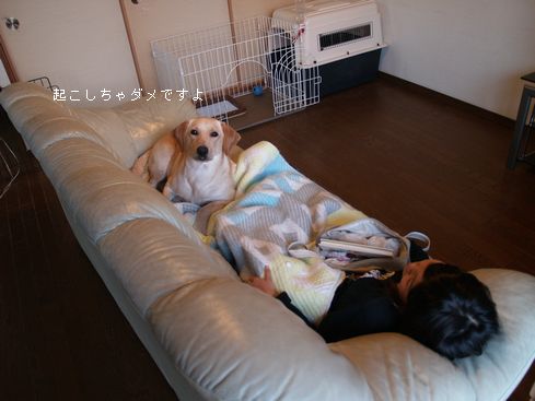 tenkichiのブログ-PB218071