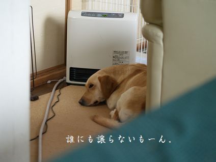 母ちゃんちの晩御飯とどたばた日記