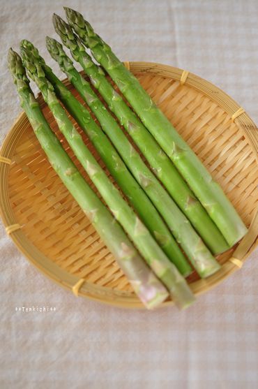 母ちゃんちの晩御飯とどたばた日記