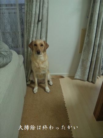 井上かなえオフィシャルブログ　「母ちゃんちの晩御飯とどたばた日記」Powered by Ameba