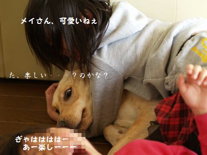 3姉妹