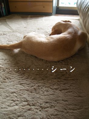 シーン