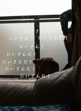 追いかけごっこ