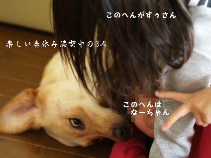 3姉妹