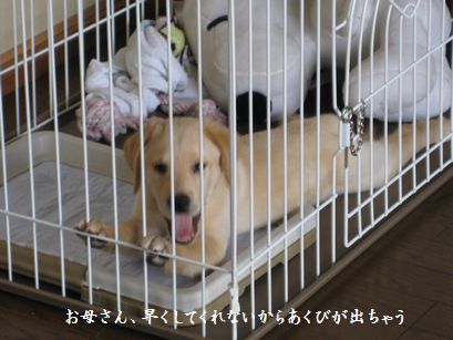 まだ掃除中です