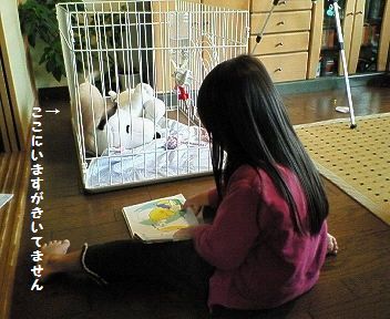 お姉さんになったすぅ