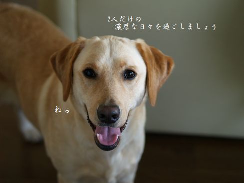 笑顔