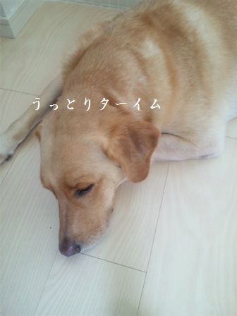 井上かなえオフィシャルブログ　「母ちゃんちの晩御飯とどたばた日記」Powered by Ameba