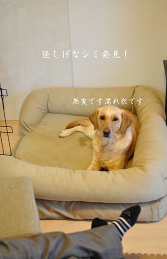 井上かなえオフィシャルブログ　「母ちゃんちの晩御飯とどたばた日記」Powered by Ameba