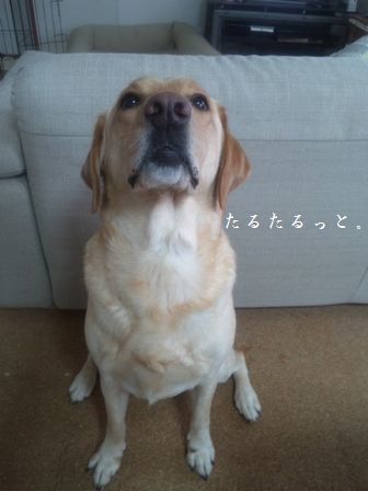 井上かなえオフィシャルブログ　「母ちゃんちの晩御飯とどたばた日記」Powered by Ameba