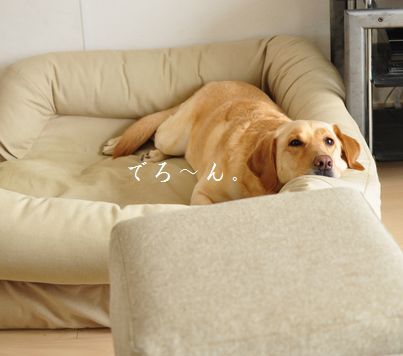 井上かなえオフィシャルブログ　「母ちゃんちの晩御飯とどたばた日記」Powered by Ameba