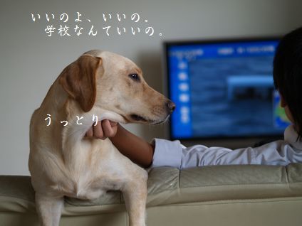 母ちゃんちの晩御飯とどたばた日記