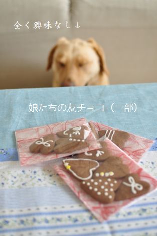 井上かなえオフィシャルブログ　「母ちゃんちの晩御飯とどたばた日記」Powered by Ameba