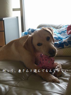 ソファーで