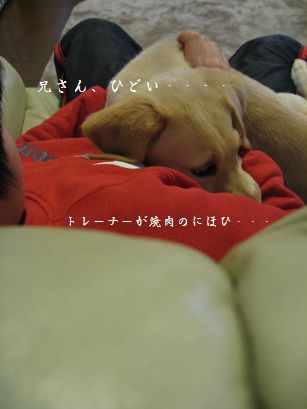 兄さんとメイ4