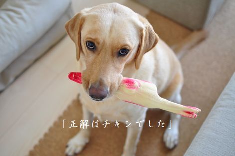 井上かなえオフィシャルブログ　「母ちゃんちの晩御飯とどたばた日記」Powered by Ameba