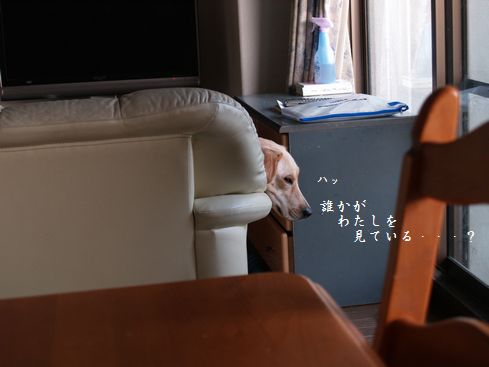 生首