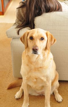 井上かなえオフィシャルブログ　「母ちゃんちの晩御飯とどたばた日記」Powered by Ameba