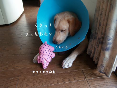 くさっ