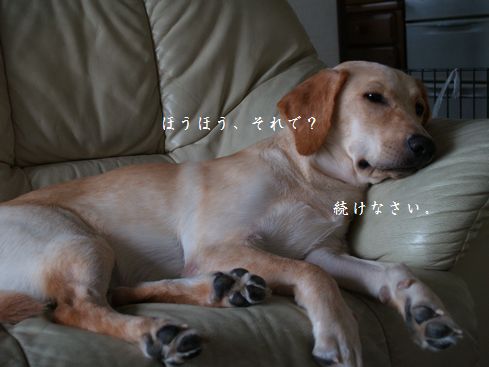 母ちゃんちの晩御飯とどたばた日記-P9256470