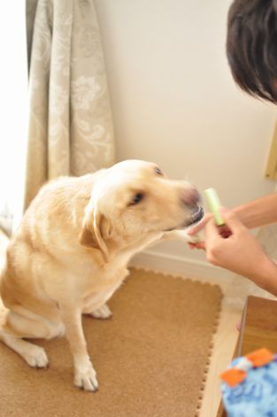 井上かなえオフィシャルブログ　「母ちゃんちの晩御飯とどたばた日記」Powered by Ameba