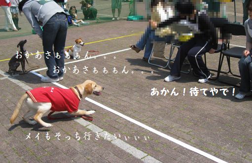 立ち上がっちゃった・・