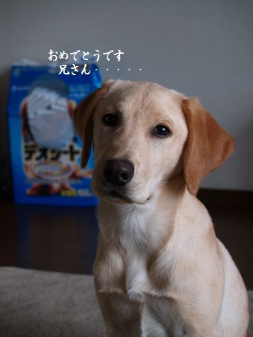 兄さんへメッセージ