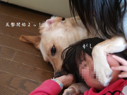 3姉妹