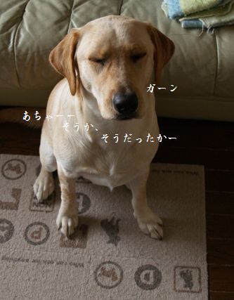 目つぶり