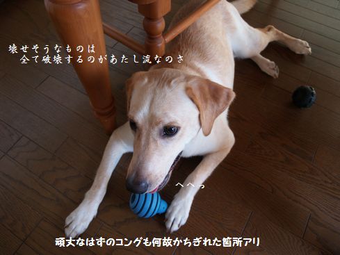 母ちゃんちの晩御飯とどたばた日記-P8205721