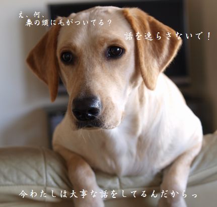 tenkichiのブログ-PC031405