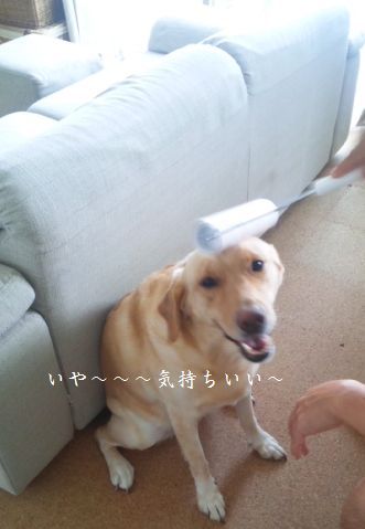 井上かなえオフィシャルブログ　「母ちゃんちの晩御飯とどたばた日記」Powered by Ameba