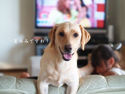 母ちゃんちの晩御飯とどたばた日記