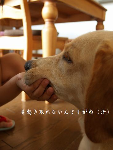 母ちゃんちの晩御飯とどたばた日記-P7124441
