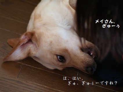 3姉妹