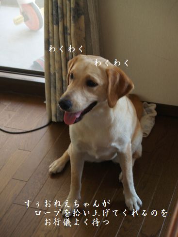 母ちゃんちの晩御飯とどたばた日記-P7254790