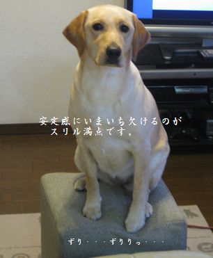 座ってみただけ