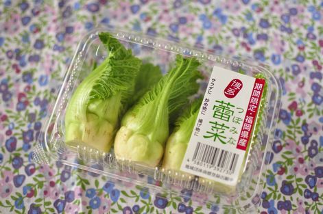 母ちゃんちの晩御飯とどたばた日記