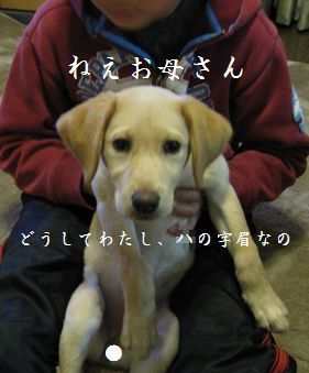 ハ