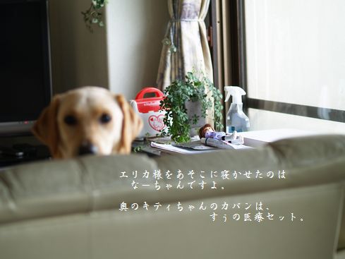 メイ