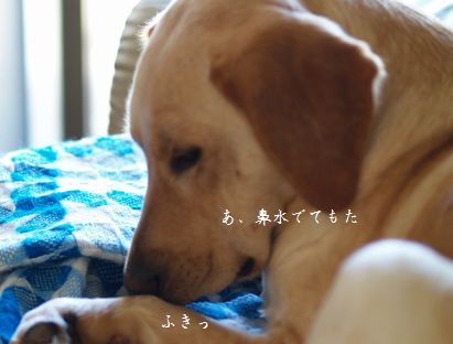 眠い眠い