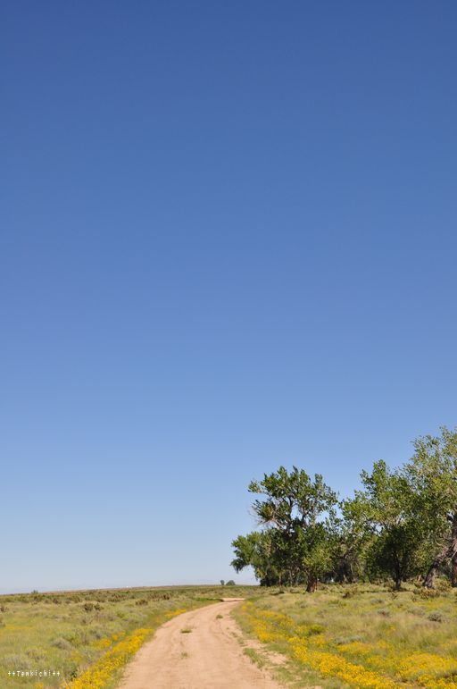 母ちゃんちの晩御飯とどたばた日記