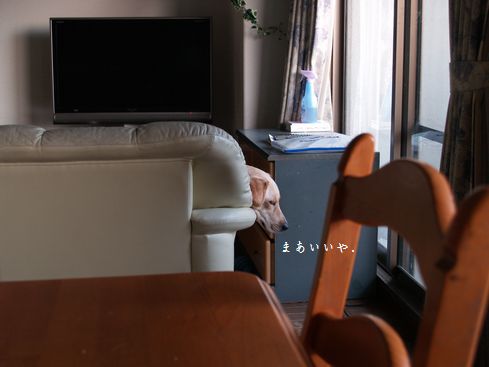 生首