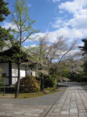 母ちゃんちの晩御飯とどたばた日記