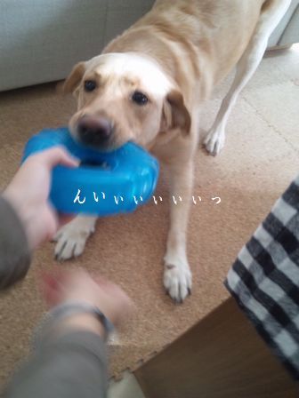 井上かなえオフィシャルブログ　「母ちゃんちの晩御飯とどたばた日記」Powered by Ameba